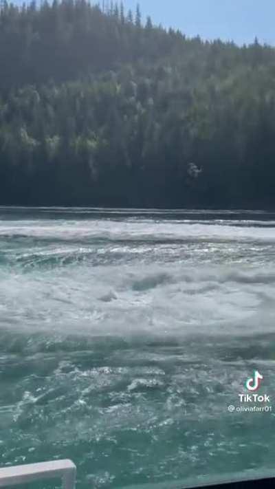 Fuck this on so many levels.