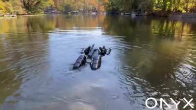 Microsoft Research has released a video of George Droyd's Canine companion (Dog). It is powered by proprietary Microsoft Fent reactor propolon cyborg technology.