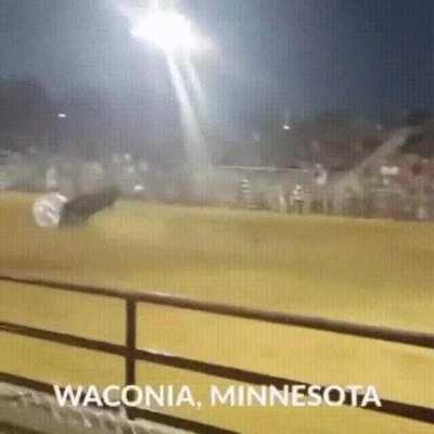 Wearing bubble suits and getting in the ring with a bull