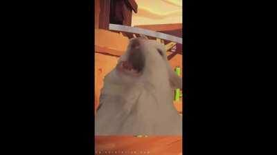 Brawlstars theme, but its sung by CATS!