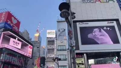 This Japanese advertising