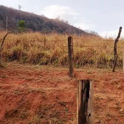 A manifestação começou aqui na roça agora #VaiBrasil