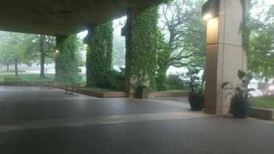 Had to stop studying and step outside for a bit to enjoy this wonderful Spring rainstorm.