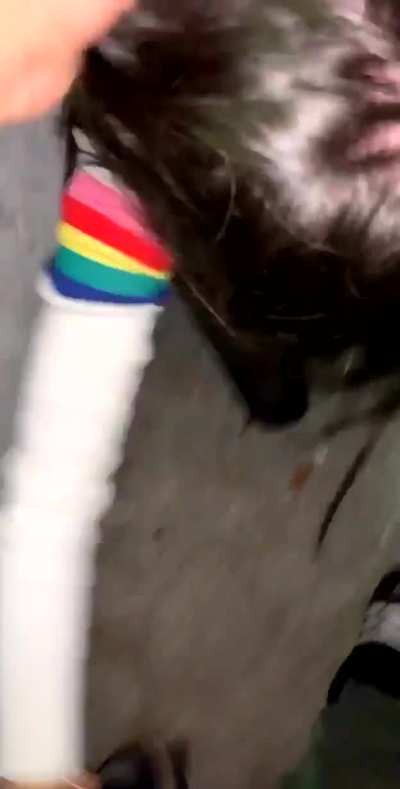 She goes all the way down his cock, no half measures