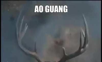 Ao Guang