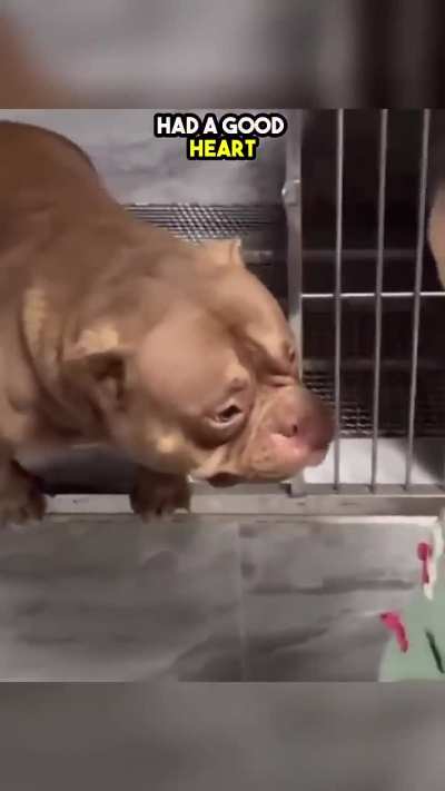 That dog is going to love that kid forever.