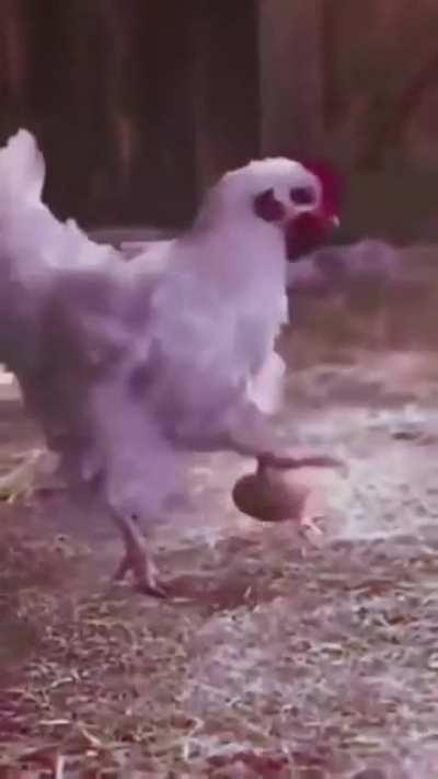 Cristiano chicken Pog