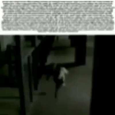 average r/distressingmemes post