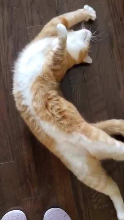 He does this everytime when he wants attention