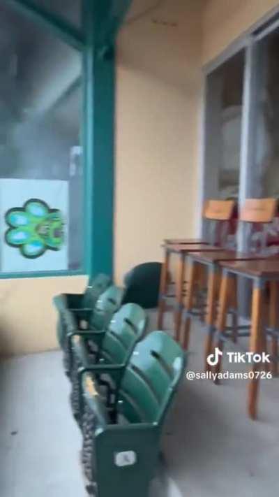 In case anyone wanted to know what Crazytown was up to