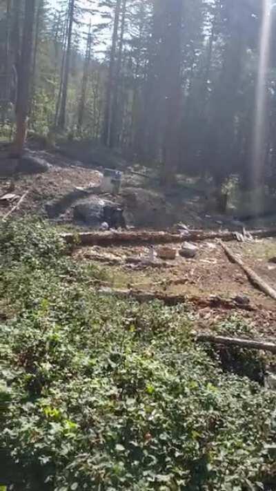 WCGW - Firing a 12g full-size with 1 hand