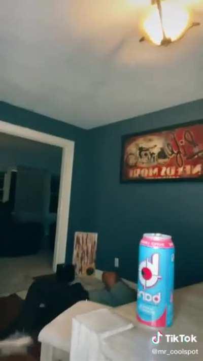 Don't Play With A Shock Collar