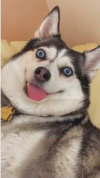 He’s just installing an update