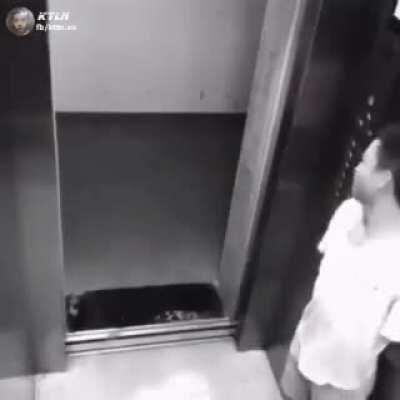 I think no one saw me