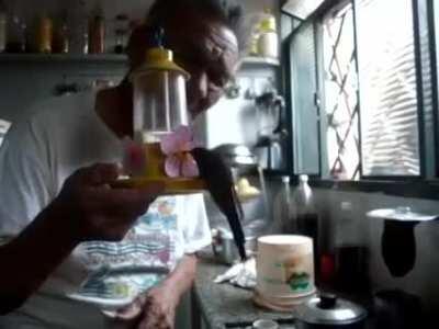 Da série “coisas incríveis que só o brasileiro faz”, porque não é só de gambiarra que a gente vive