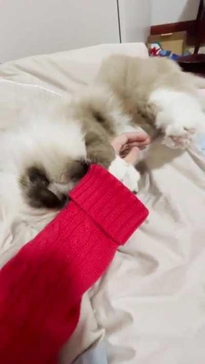 I can't feel my hand now