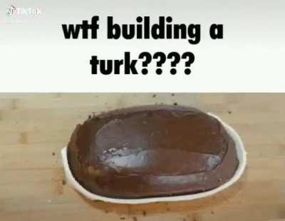 dear turks do you find this meme dehumanizing