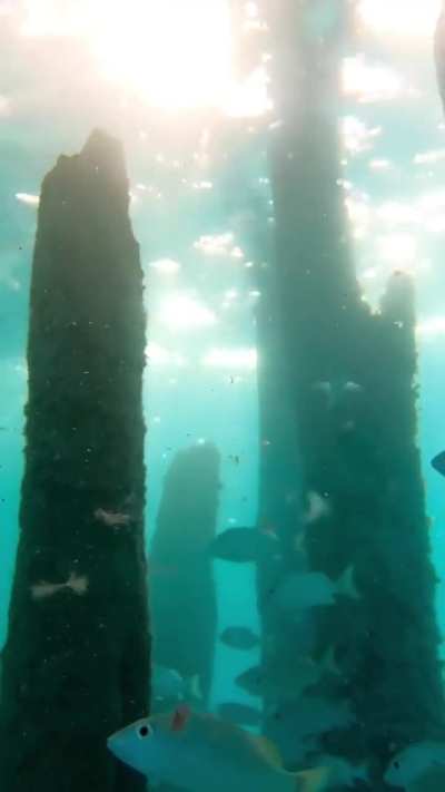 Sunset below the bridge, Isla Mujeres views