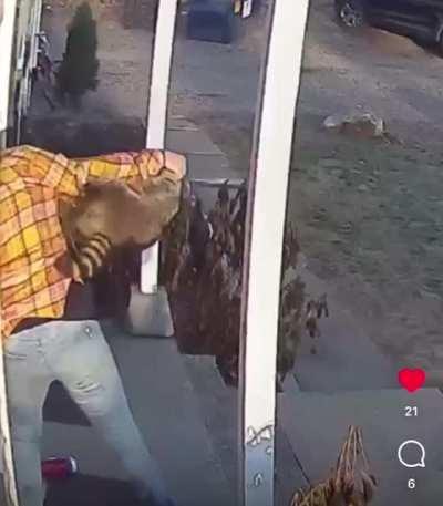 Hitraccoon plans ruined by mother