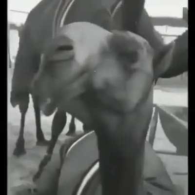 🤯🤯🤯 no la tenia asi de clara