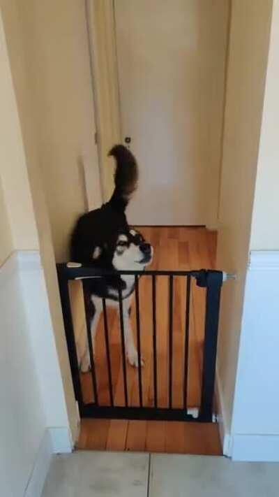 Every day I come home to this