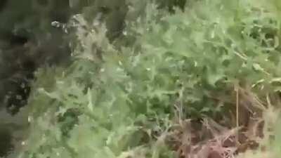 HMFT after using a dirt bike race track next to a cliff