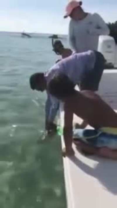 Baby shark, doo doo doo doo doo doo