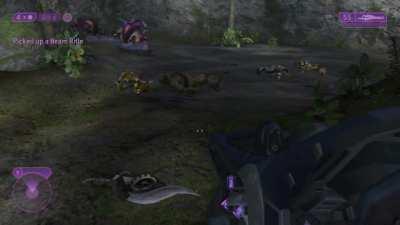 If you are fatigued from memes about colour in Halo infinite or 343's decisions, may I offer you a refreshing 