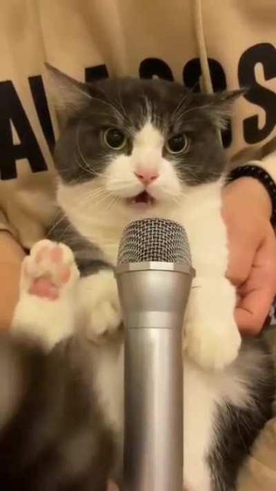 Attention stalkers!! An emission is approaching...