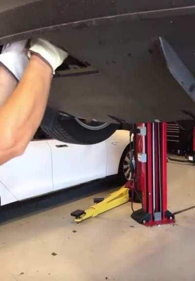 Tesla service center puts cat inside a car