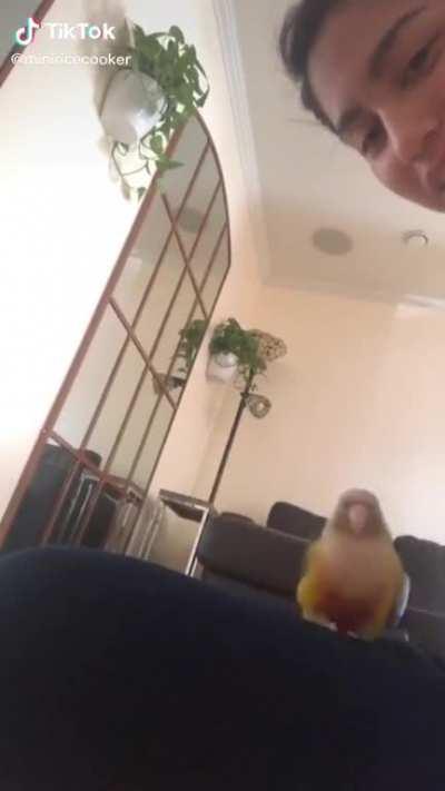 May dancing Kiwi give you strength today