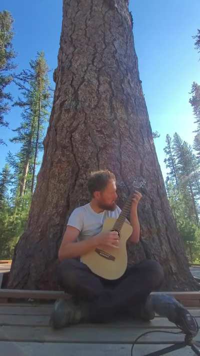 The third track from Empty Sky Field Recordings Volume 2 by Magnetic Vines, 