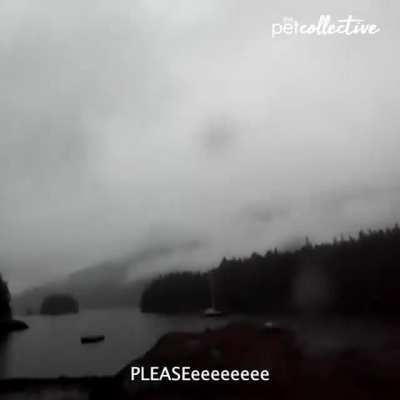 to stop a bear from ruining the kayak (she bearly stopped it ba-dump-tss)