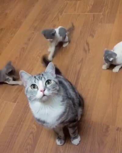 Keeping the kids entertained is a big part of every parent's job