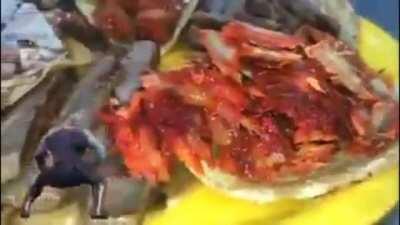 A commercial for a Mexican restaurant featuring a twerking Thanos.