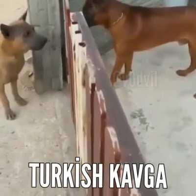 ZargoryanGalaksisi - Video #7626