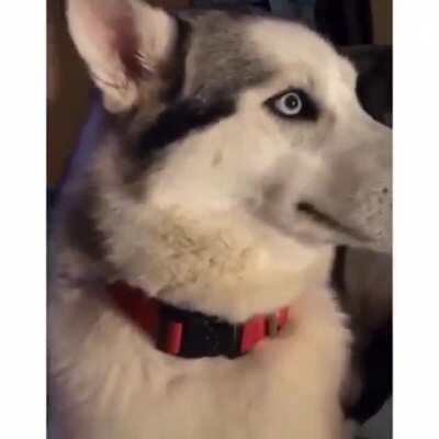 Кто это наделал?