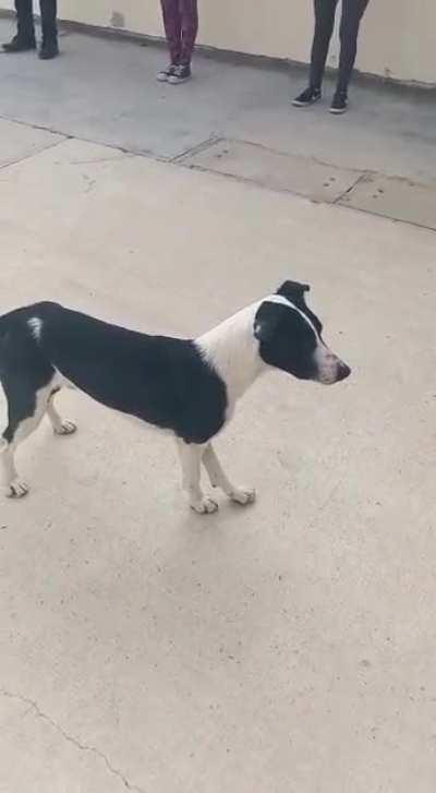 Arrancando el Lunes con todo perri