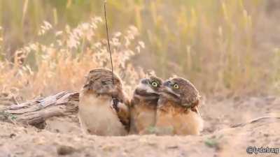 You uh... Got somethin there