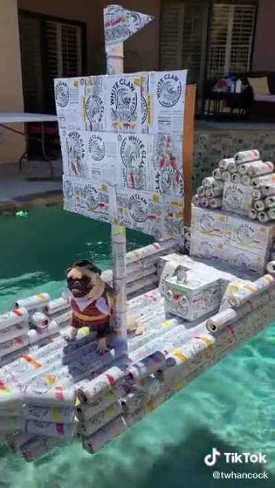 I don't know if I should be more happy or concerned about this