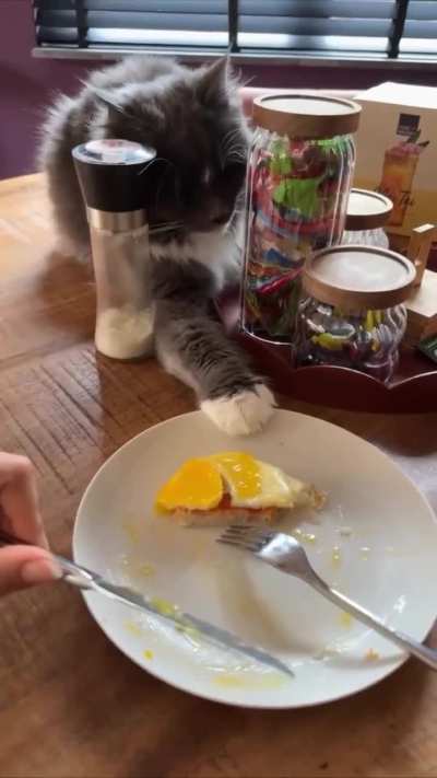 The cunning predator obtains food by carefully hiding among the thickets