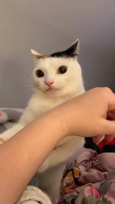 blursed_life questioning