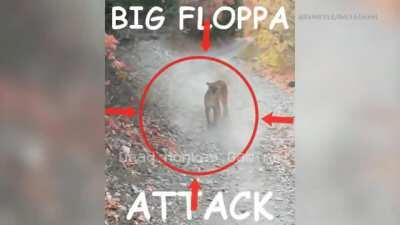 sus big floppa attack