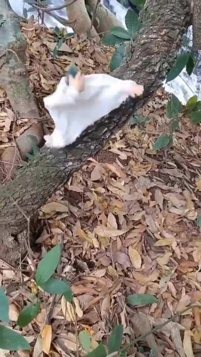 Don't fight the rhythm