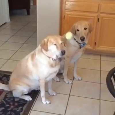 Both couldn't fucking care less