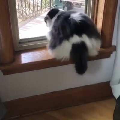 for this jump, he saved up strength all day