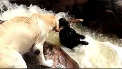 Saw that a buddy was in trouble and helped them out