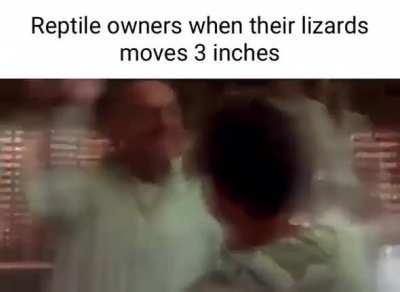 whenthe - Video #8341