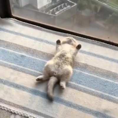 it's been a long day