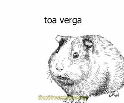 Todos los dias ese guebito con la luz